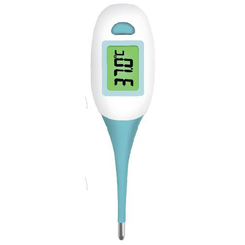 Digital thermometer